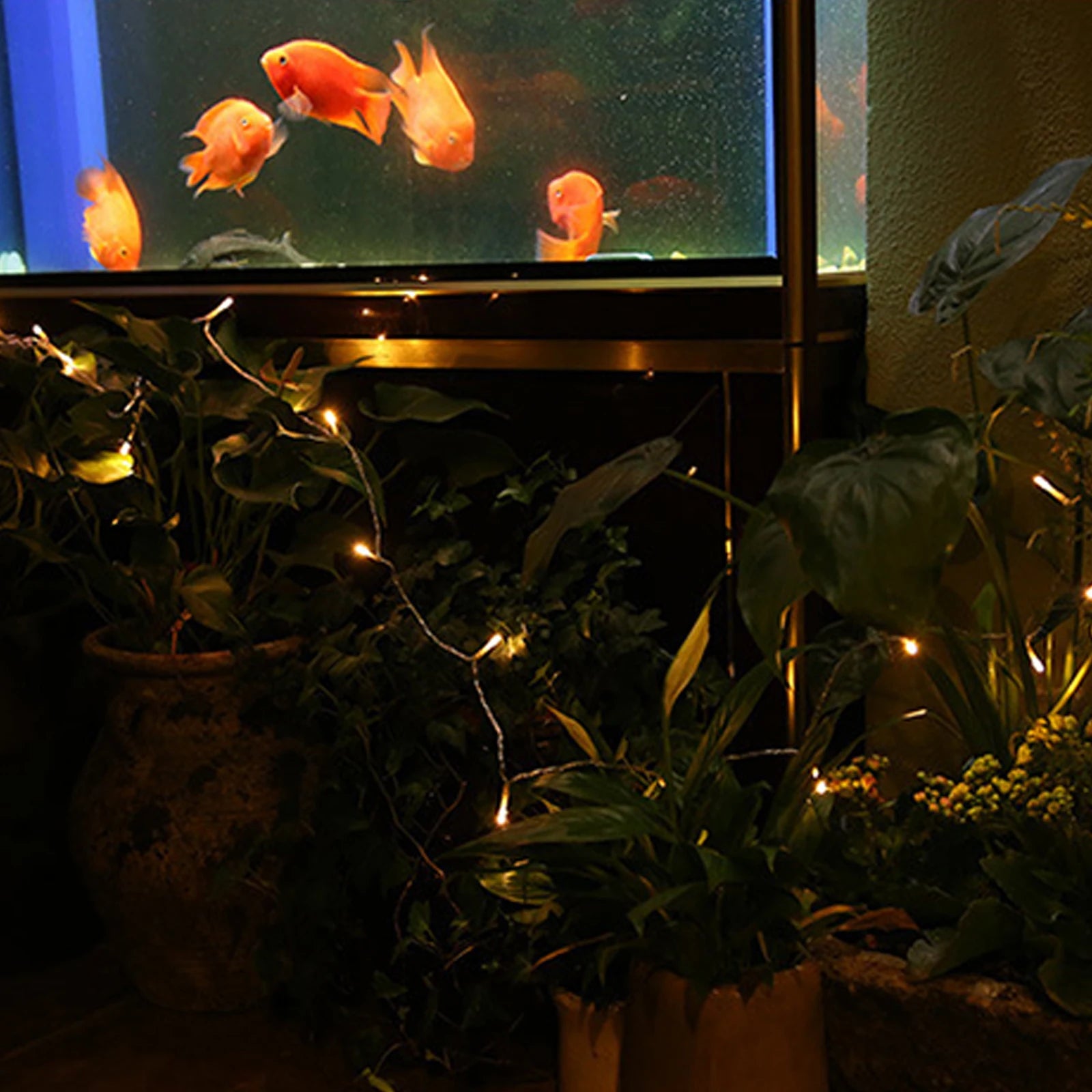 Lighted Norfolk Pine Branches